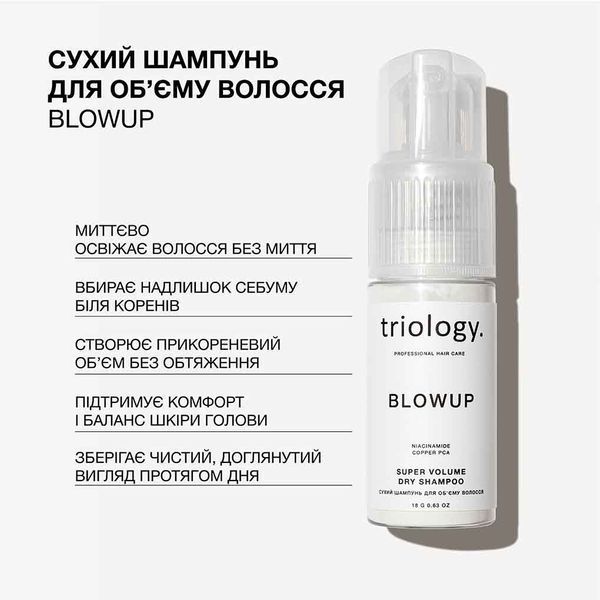 Сухий шампунь для об'єму волосся Blowup Triology. TR050 фото